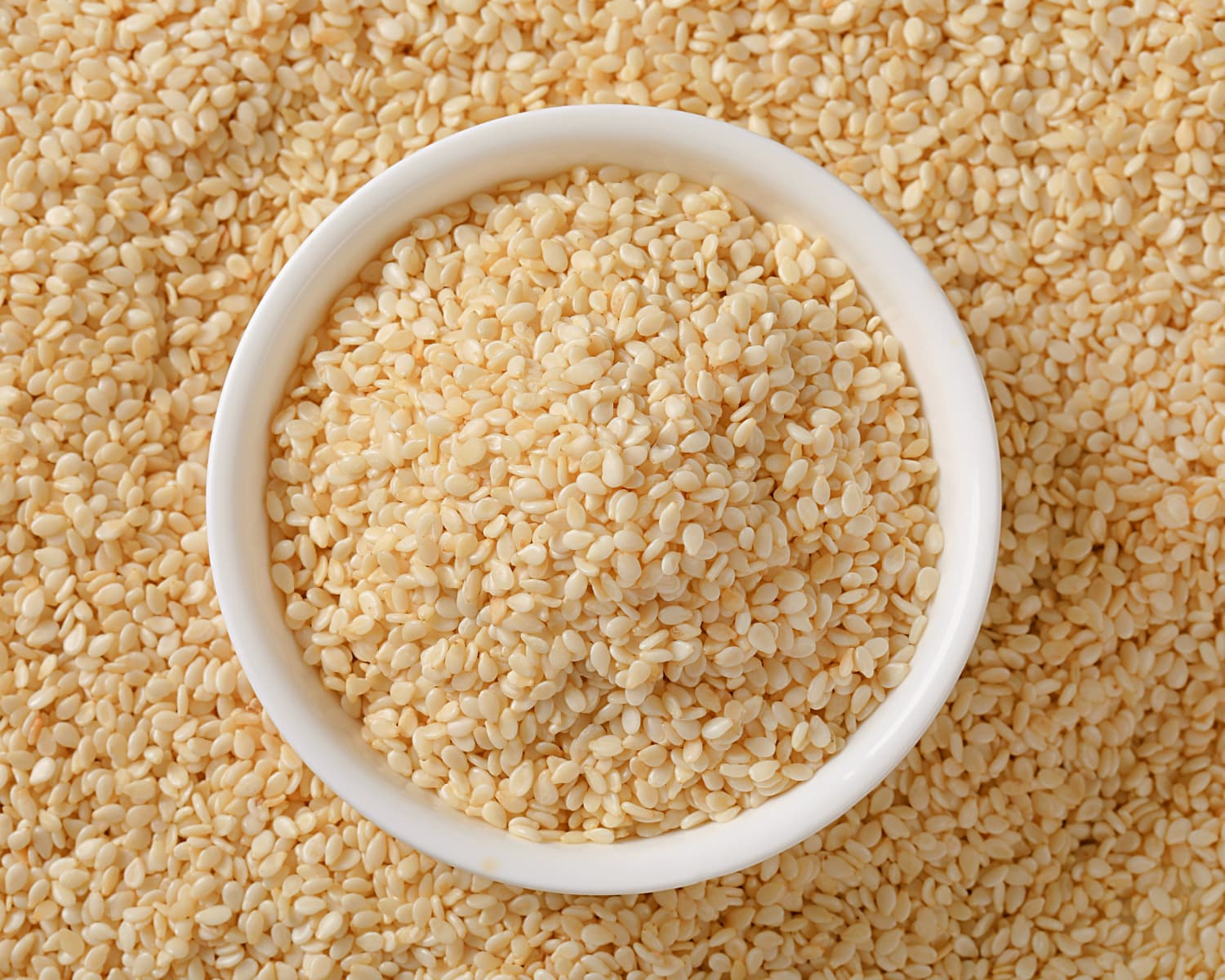 Sesame - Trade Ventures